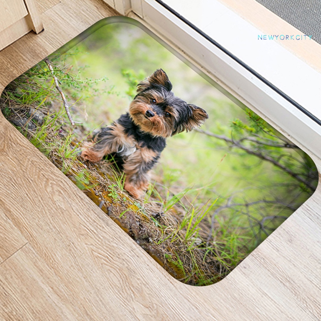 Thảm lót cửa chùi chân Vải Flannel Mềm Mại Thoải Mái Chạm Cảm Ứng In Họa Tiết Hoạt Hình