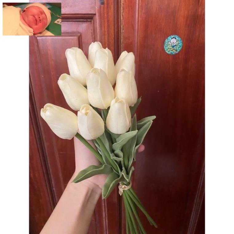 Cành hoa tuy lip nhập khẩu ,giống thật 99% siêu đẹp