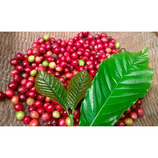 Cà Phê Nguyên Chất Pha Phin 500Gr