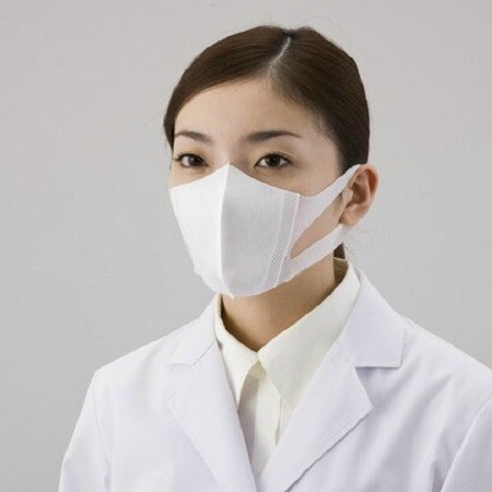 hộp 10 cái khẩu trang 5D mask