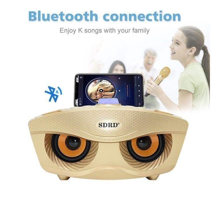 Loa Bluetooth SDRD - SD 306 Cao Cấp Chính Hãng - Tặng Kèm 2 Micro Hát Karoke Cực Hay - Đa Năng Tiện Dụng - Bảo Hành 6T