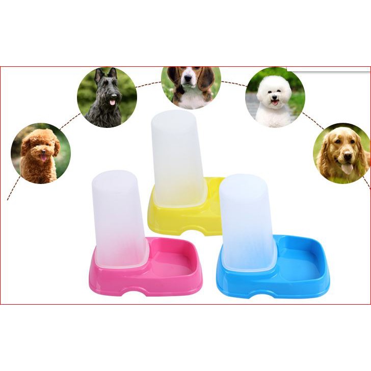 Bát ăn tự động cho chó mèo