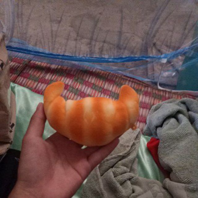 Squishy live