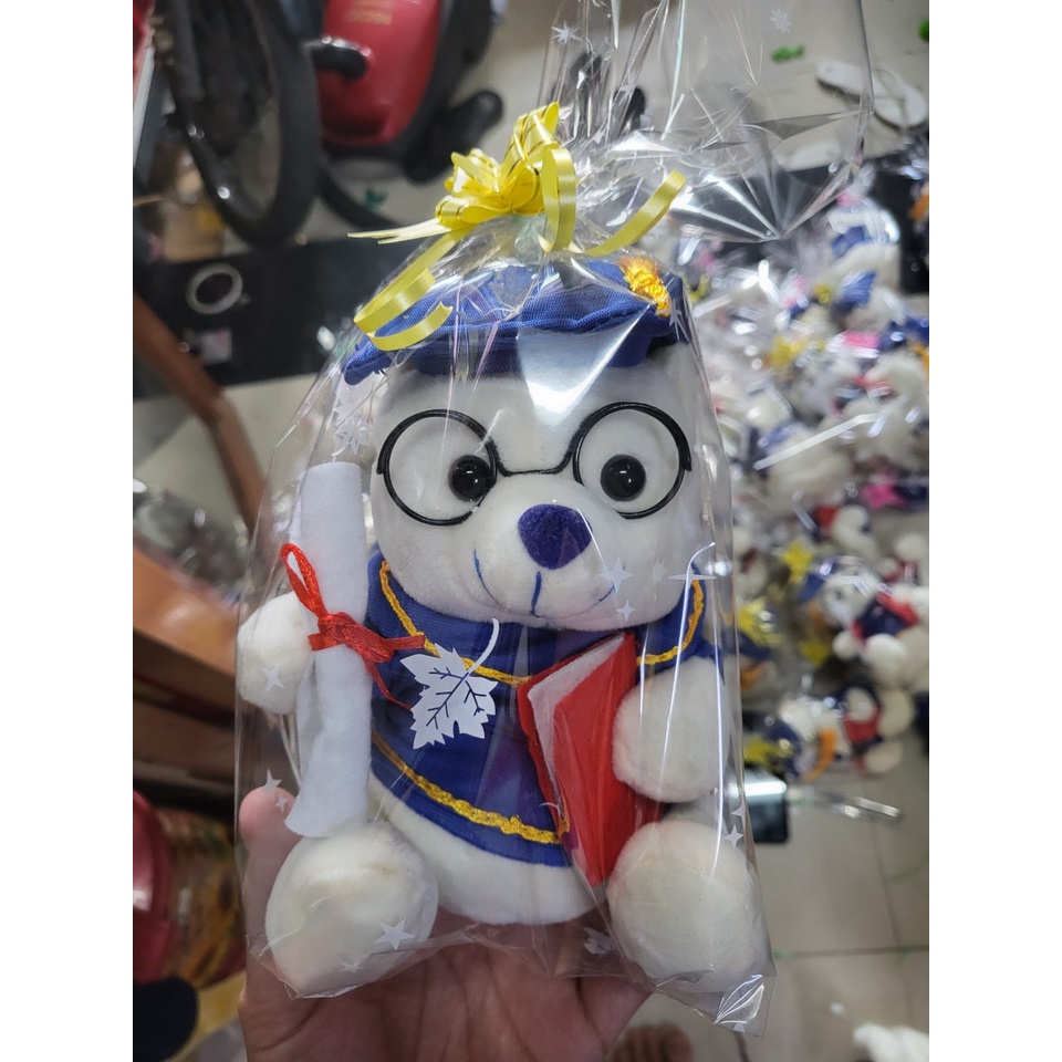 Ghi chữ nổi  lên áo gấu bông tốt nghiệp