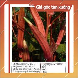 Hạt giống Đậu Bắp Đỏ 5Gram Hạt giống