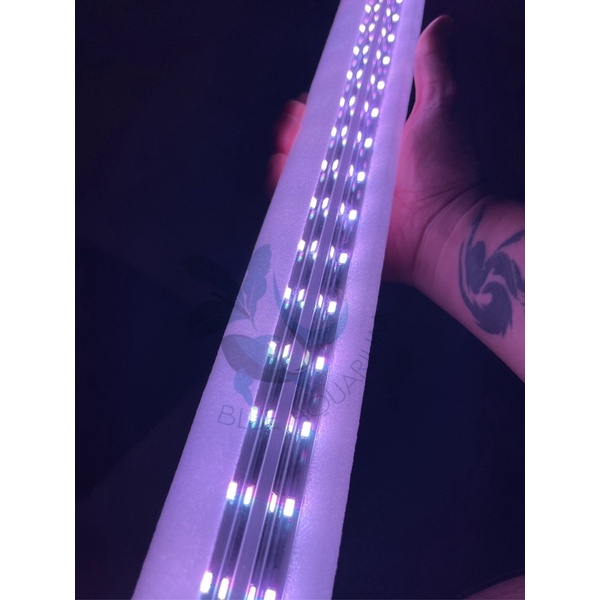 Đèn led ZY-F4 thương hiệu ZhiYang đỏ cá không đỏ nước 4 hàng bóng cao cấp chống chói