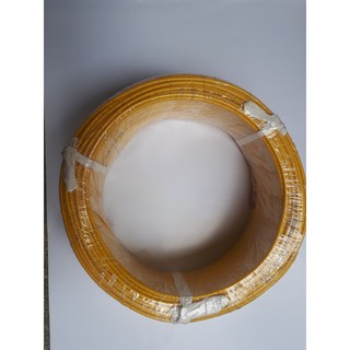 Dây điện đơn Trần Phú