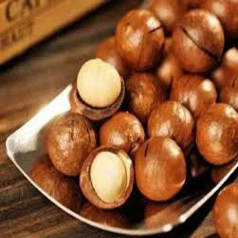 1 BỊCH QUẢ MẮC CA (MACADAMIA) KHÔ, HÀNG LOẠI 1, CAM KẾT CHẤT LƯỢNG