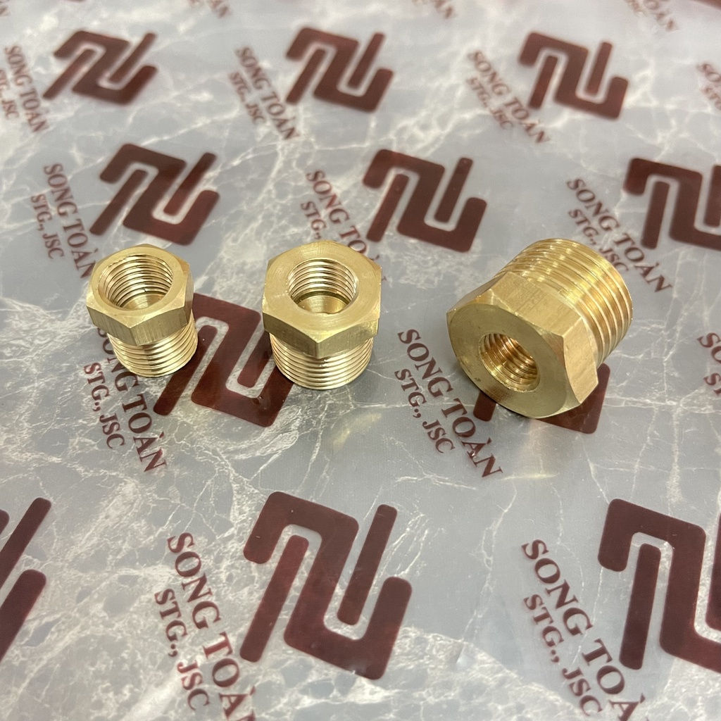 [REN TRONG 11] Ren ngoài BSP hệ G x Ren trong vặn đầu côn lồi - Cả rá Lơ ngược Brass pipere ducer bush male to female
