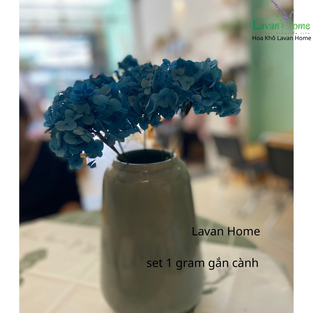 Cành hoa tú cầu ướp khô decor, trang trí bình hoa, hộp quà, dùng để cắm lọ trang trí hoặc bó thành phẩm siêu đẹp và bền