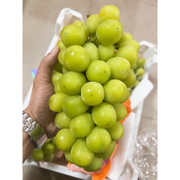 NHO MẪU ĐƠN SHINE MUSCAT SIÊU NGON NGỌT THƠM (Nguyên Chùm Rất To 1,2-1,3kg)