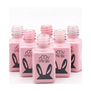 Set bộ sơn thạch  hiệu Chegel  siêu hot ( Set 6 chai )