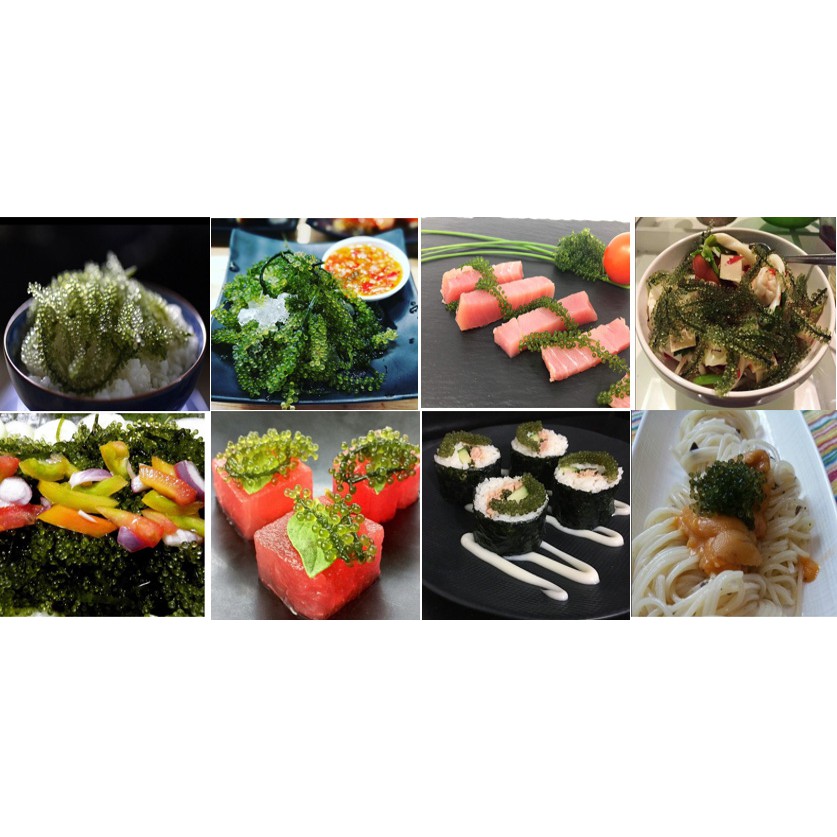 Rong nho tách nước 100gr ngâm nở 300gr rong tươi