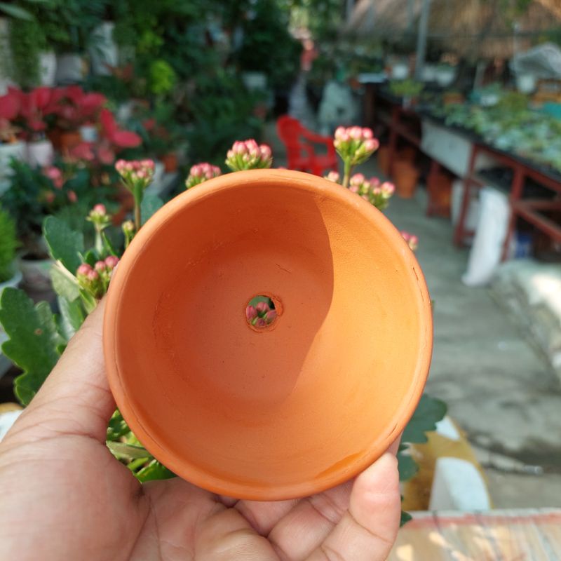 Chậu đất nung, Chậu sen đá - Ly gờ 95, miệng chậu 9cm, chiều cao 5cm