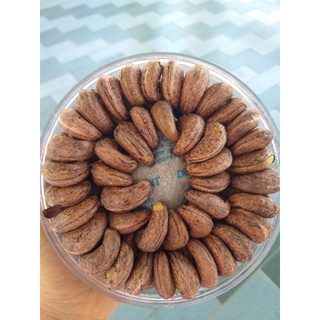Hạt điều Bình Phước