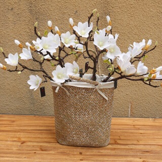 Cành Mộc Lan cổ 60cm