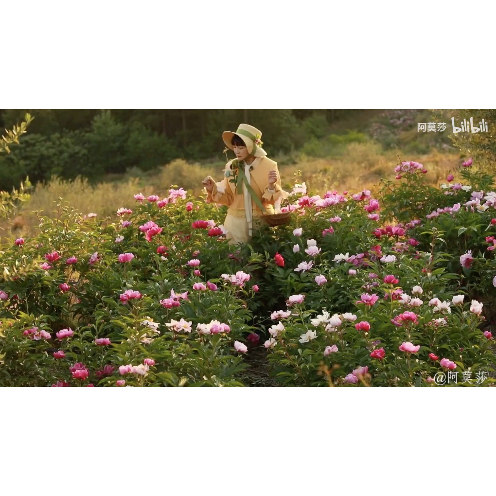 PHÂN DƠI NGUYÊN CHẤT - THÍCH HỢP DÙNG CHO LAN VÀ CÂY KIỂNG 75GRAM - DƠI THUẬN PHÁT