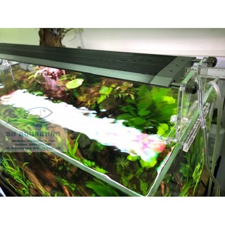 ĐÈN LED WEEK RGB 60CM (Bản dimer)