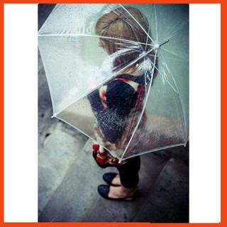 Ô đi mưa trong suốt / ô trong suốt