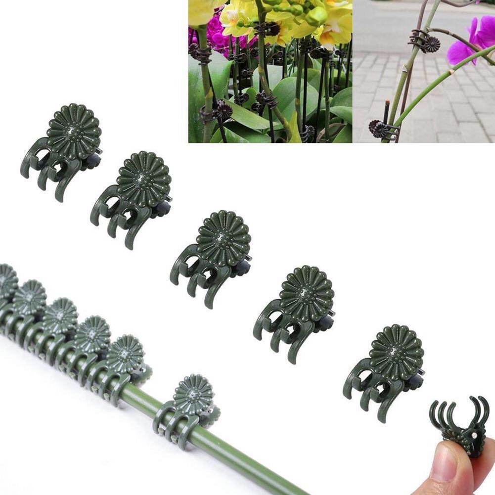 100 kẹp bướm dùng cố định hoa lan phi điệp