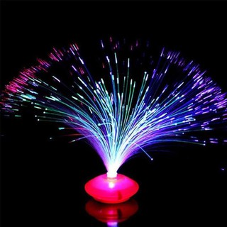 ĐÈN LED SỢI QUANG TRANG TRÍ ĐỔI MÀU LUNG LINH