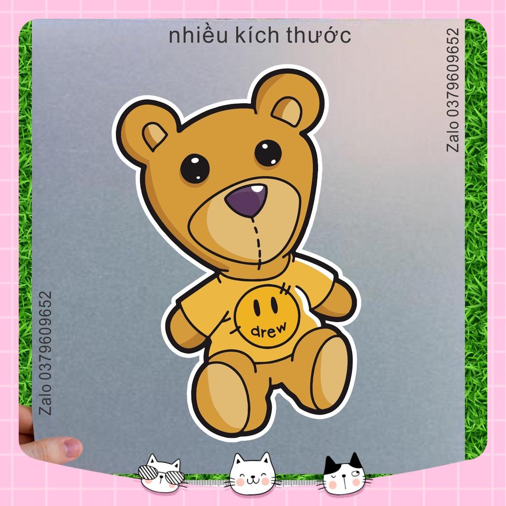 Hình Gấu Drew in áo tại nhà dễ dàng post 2