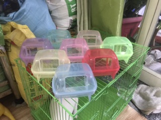 nhà / bồn tắm chuột hamster