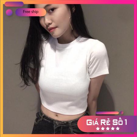 ÁO CROPTOP BODY
