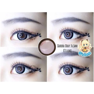 Lens vassen Sakura