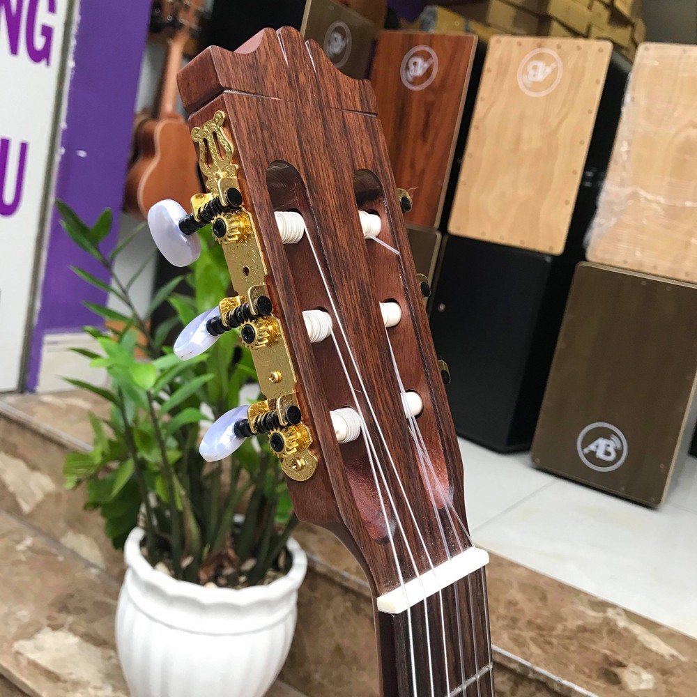 ĐÀN CLASSIC GUITAR GỖ MÁC BỒ NGUYÊN TẤM