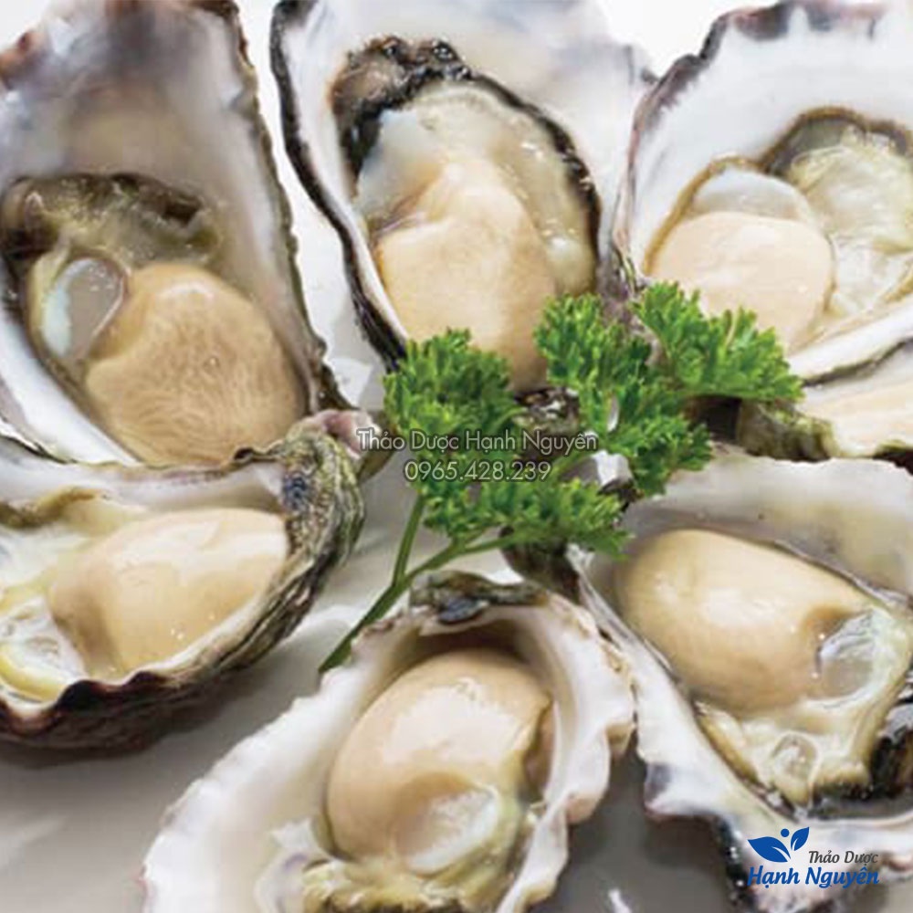 Mẫu lệ nung 1kg (Vỏ hàu sấy khô) - Thảo Dược Hạnh Nguyên