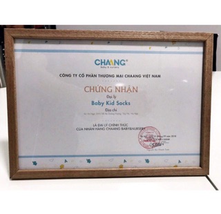 Bộ hè chaang baby