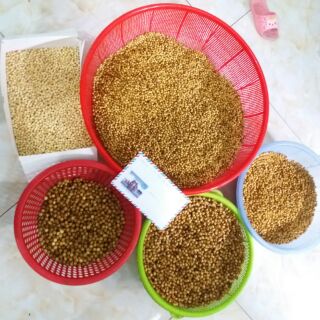 Sỉ phụ kiện vòng dâu tằm