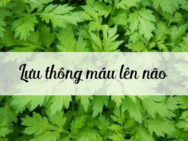 1kg ngải cứu khô