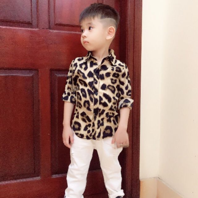 Sơ mi beo