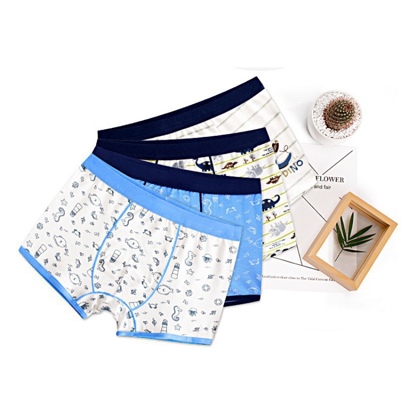 Bộ 2 Quần Lót Boxer In Hình Cho Bé Trai