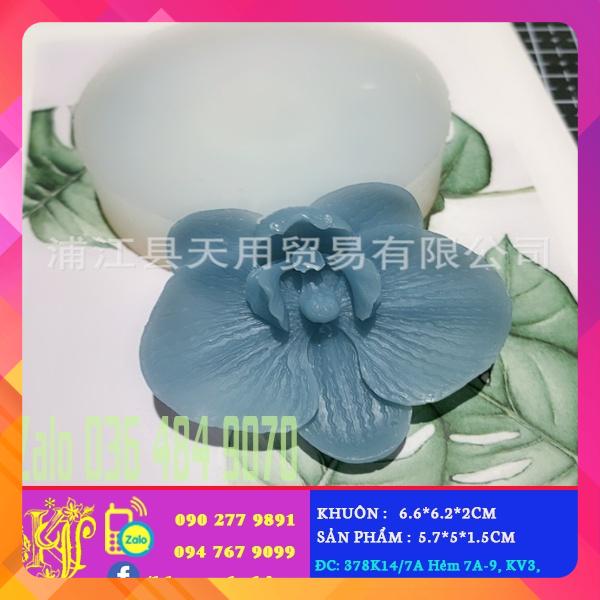 Khuôn silicon hoa lan hồ điệp nhỏ làm rau câu 4d Shopee-Bách hóa online Khánh Vân