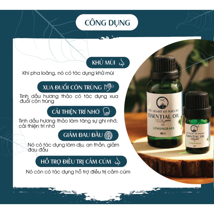 Tinh dầu Hương Thảo PK 10ml - Tinh dầu nguyên chất xông phòng