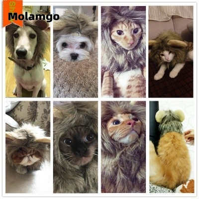 Bờm Sư Tử Dễ Thương Thời Trang Cho Thú Cưng bờm sư tử cho mèo