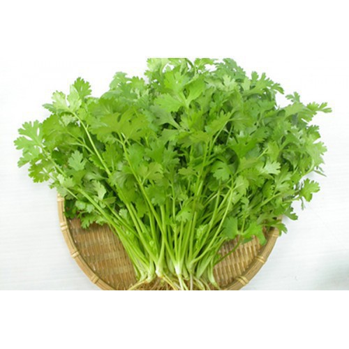 Hạt Giống Ngò Rí Phú Nông 20gr