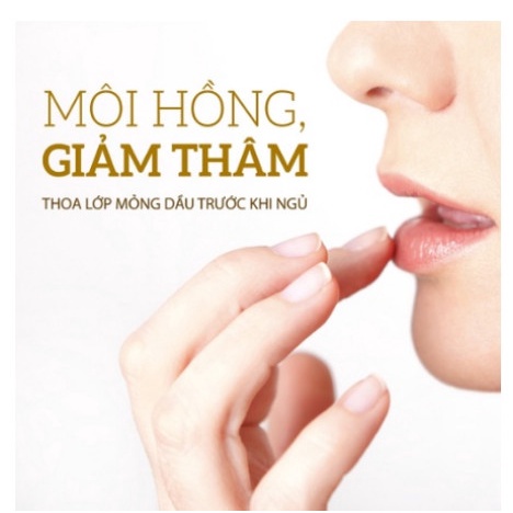 Dầu dưỡng da cám gạo nguyên chất giúp chắc khỏe da, tóc và mềm môi |100ml Suziko