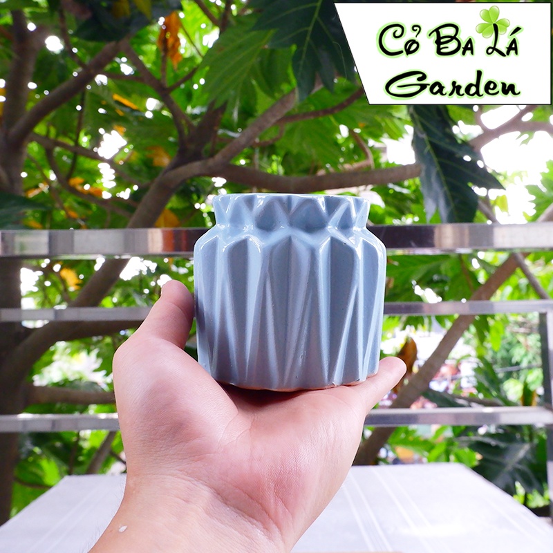 Chậy cây mini để bàn hình hũ tiền