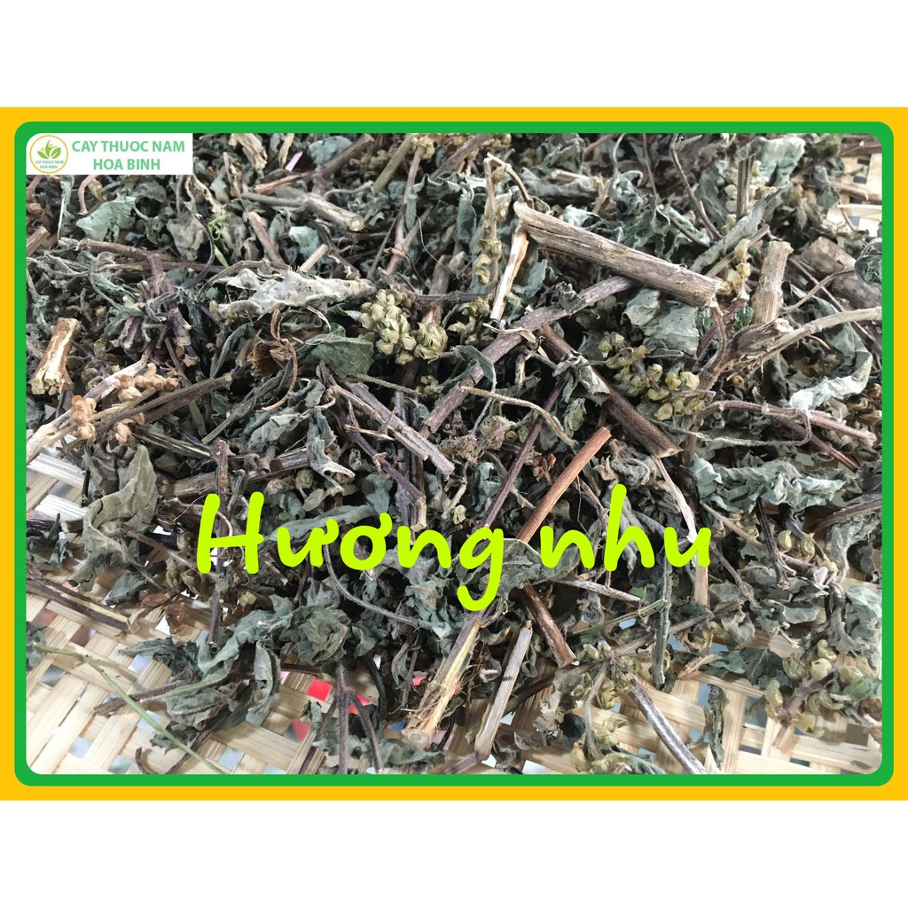 500g hương nhu thơm khô sạch