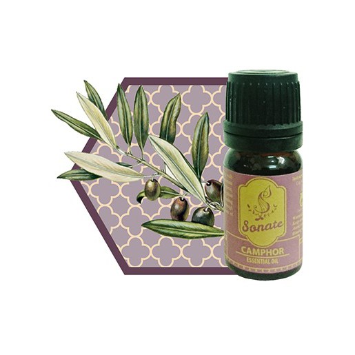 TINH DẦU XÔNG LONG NÃO 5ML