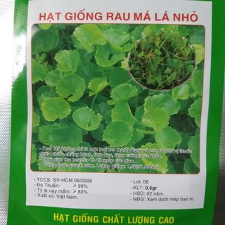 0.5g Hạt giống Rau má   