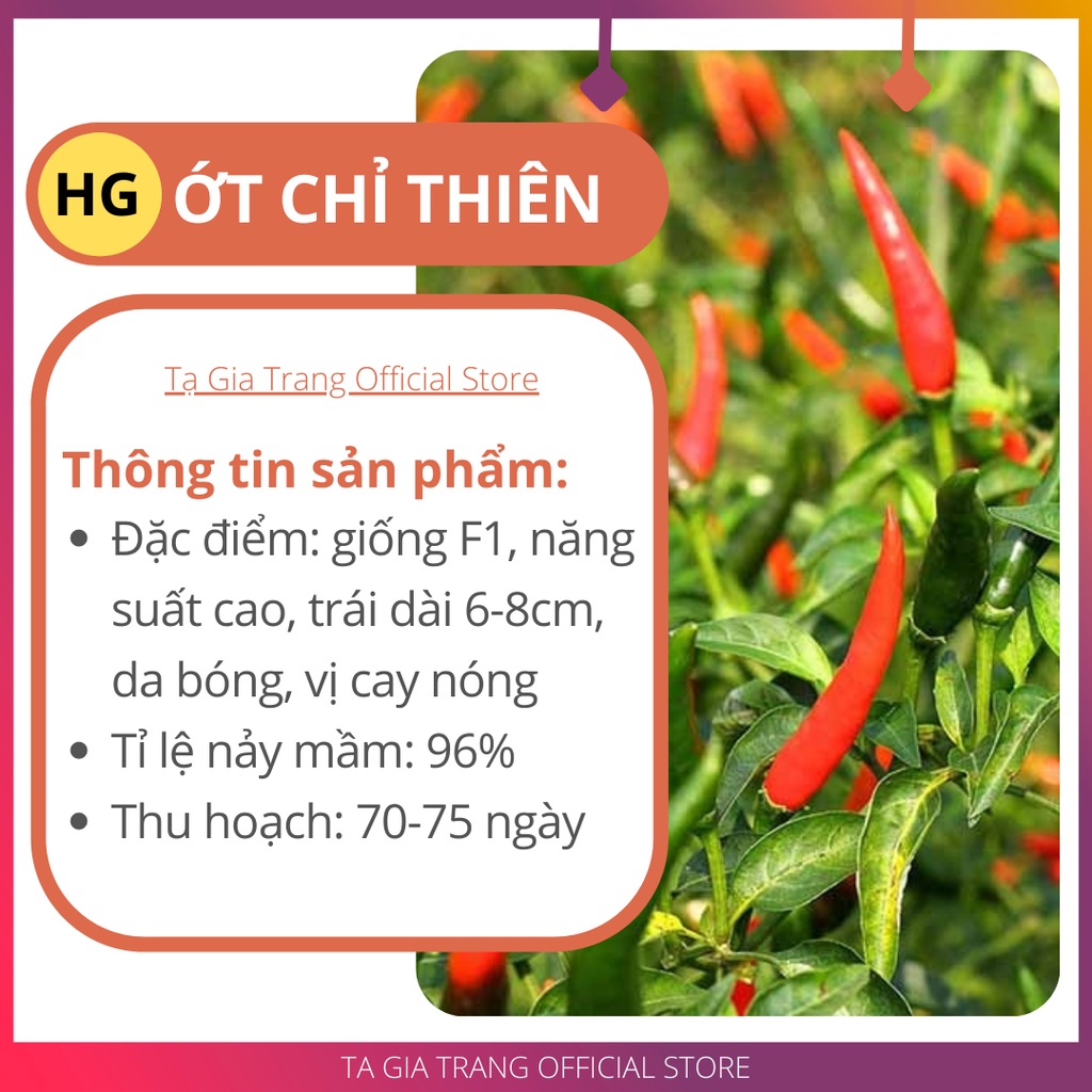 Hạt giống Ớt chỉ thiên F1 siêu cay