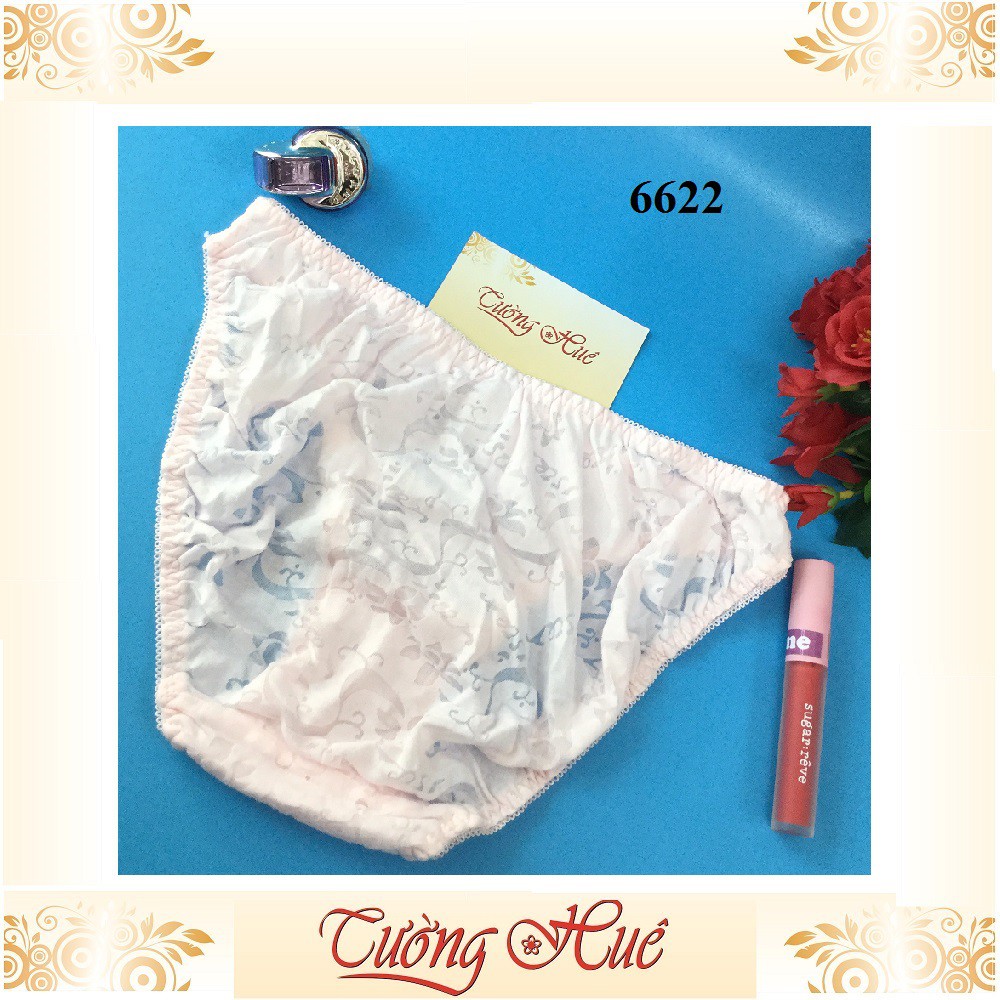 Quần lót nữ Sister 6622 quần lót Cotton ép bông MÀU NGẪU NHIÊN.
