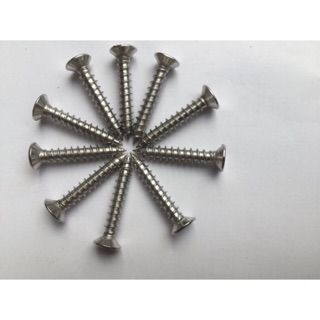 Vít INOX  ( 10 con) + tắc kê nhựa