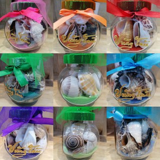 VỎ ỐC. VỎ ỐC BIỂN. BỘ SIÊU TẬP ỐC TRONG HŨ THỦY TINH 180ML