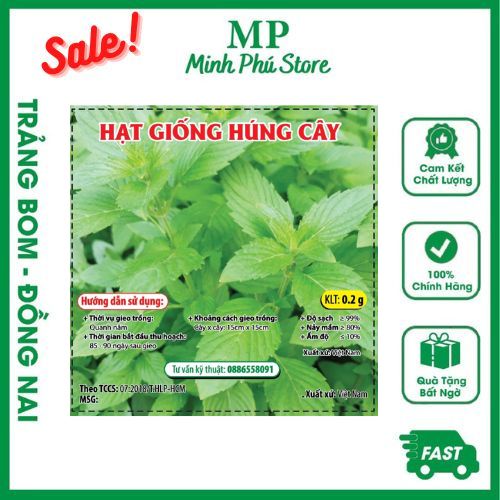 Hạt Giống Húng Cây - 0,2g - Hạt Giống Hoá Nông Rau Củ Quả Trái Lá Chịu Nhiệt Trồng Quanh Năm Nảy Mầm Tốt Năng Suất Cao